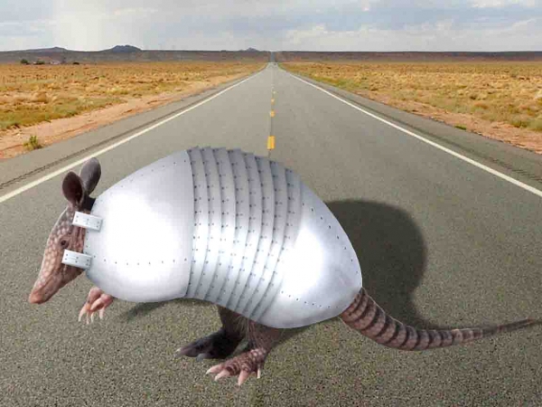 Creation of Armor-dillo: Step 8